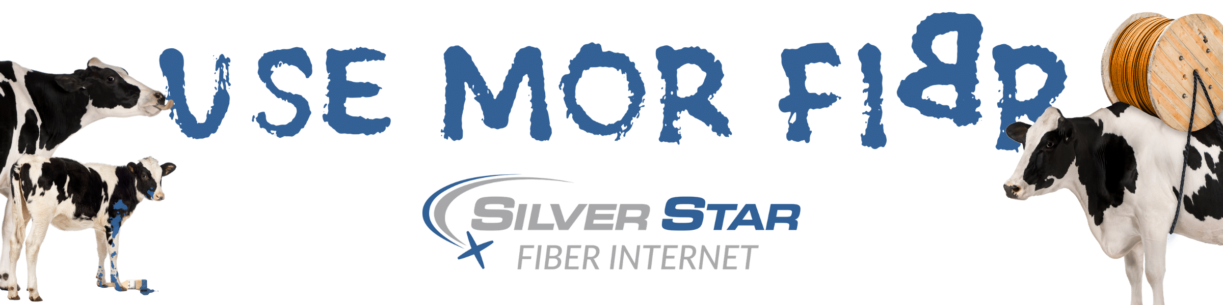 Website Banner